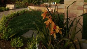 A garden with a brick wall and a rainbow in the background. - CasalFarano (Cupra Marittima)
