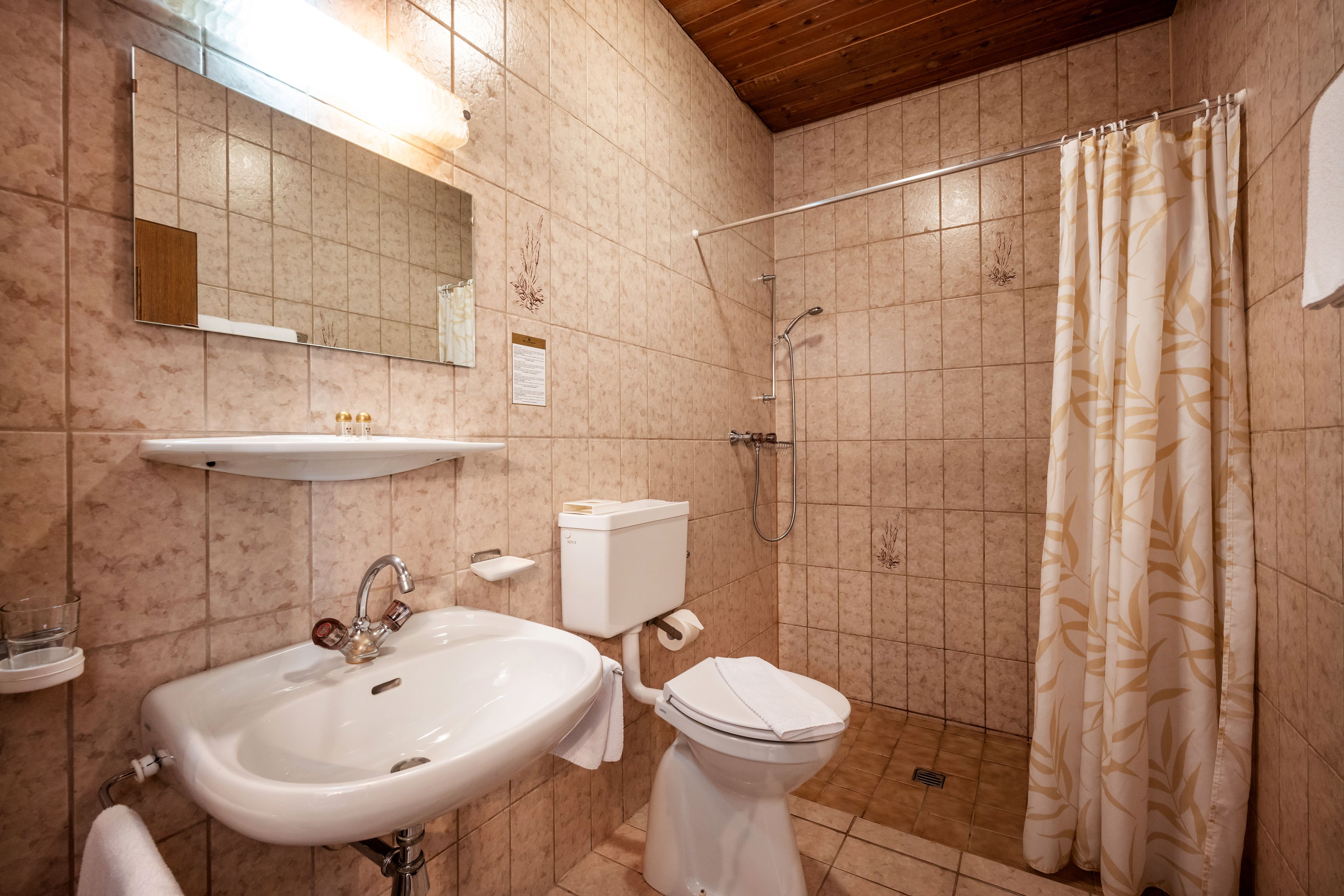 A bathroom with a sink, toilet, shower, and a mirror.