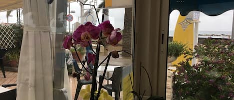 Vista a través de una ventana con una orquídea en maceta, una silla y una mesa.