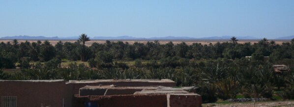 Vista desde la propiedad