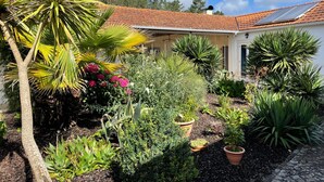 A house with a tiled roof, surrounded by a garden with various plants and a palm tree. - Casa Aguas Mansas (Cantanhede)