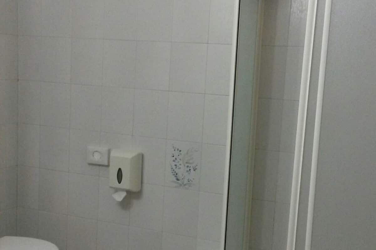 shower, free toiletries, hair dryer, bidet