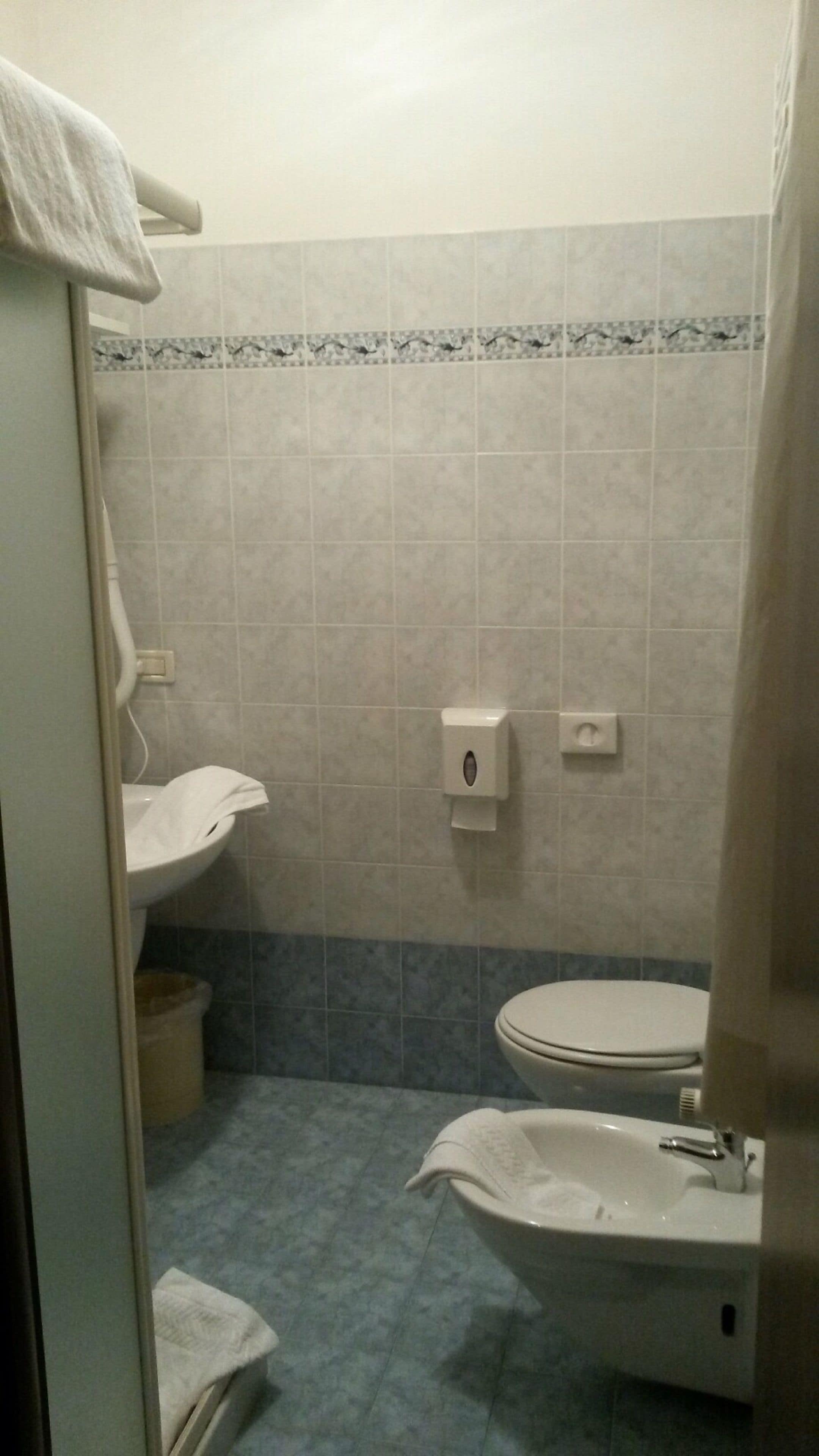 shower, free toiletries, hair dryer, bidet
