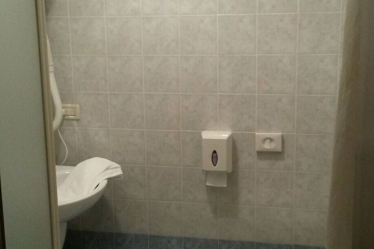 shower, free toiletries, hair dryer, bidet