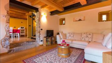 Tv, eldstad och böcker