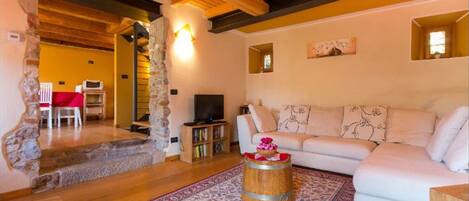 TV, fireplace, books