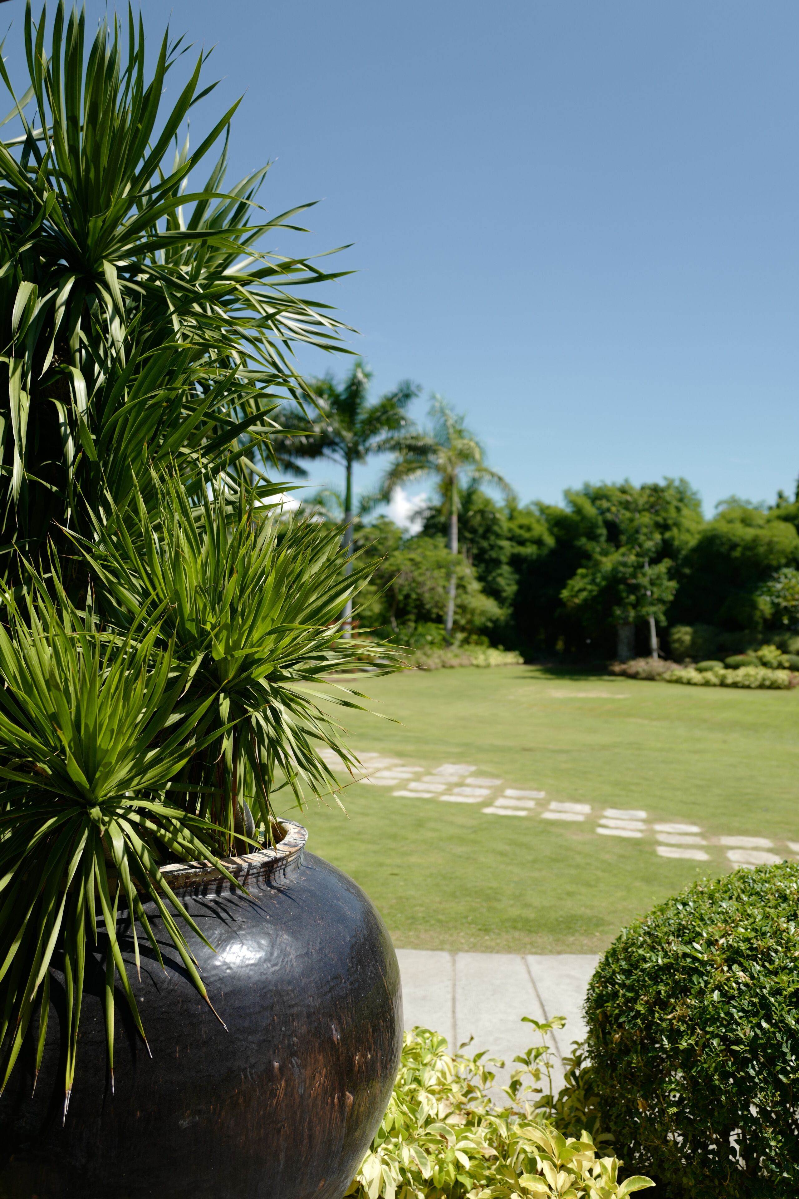 premium suite | garden view