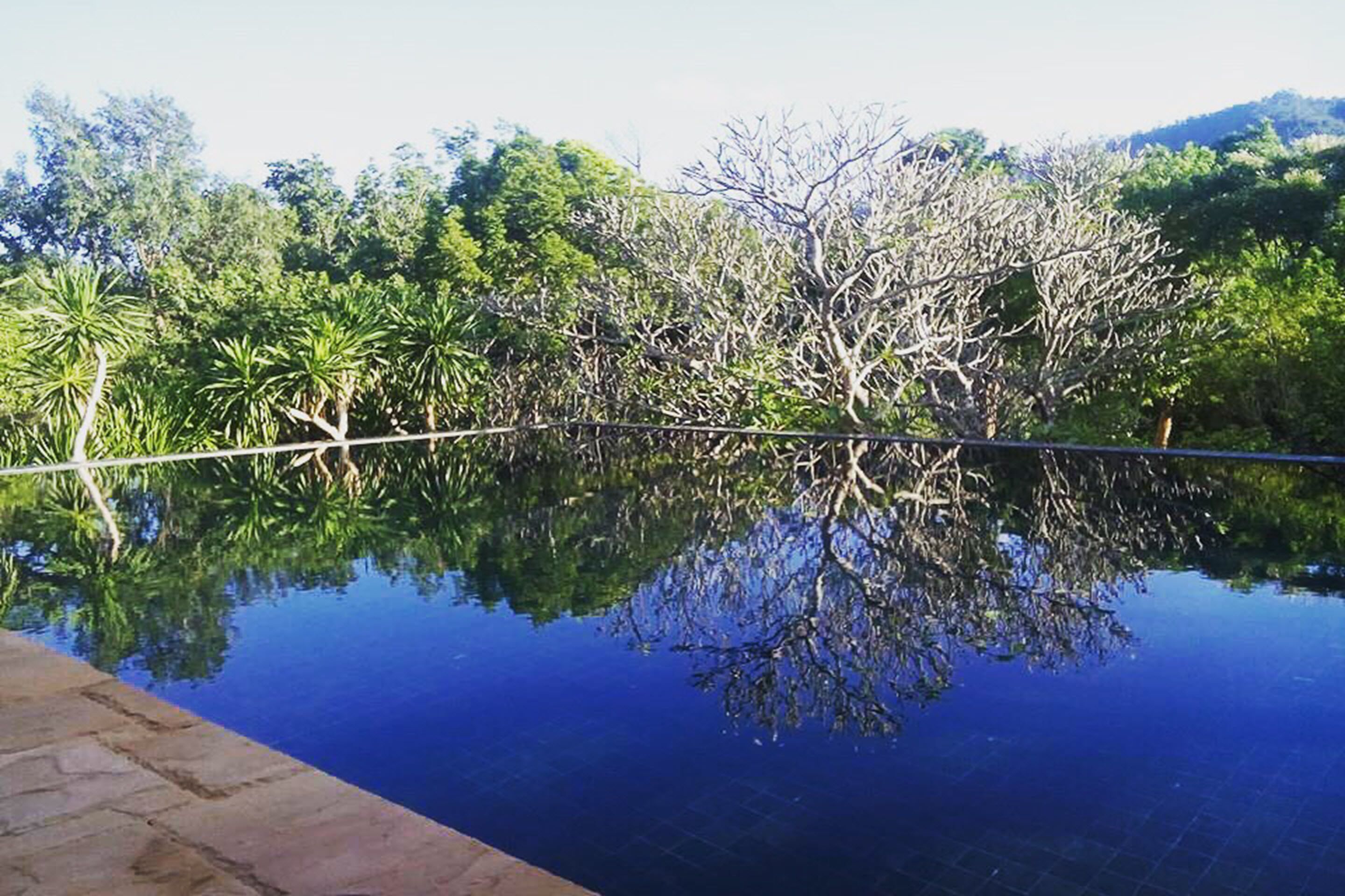 8 Bedrooms Pool Villa  | 露台/庭院