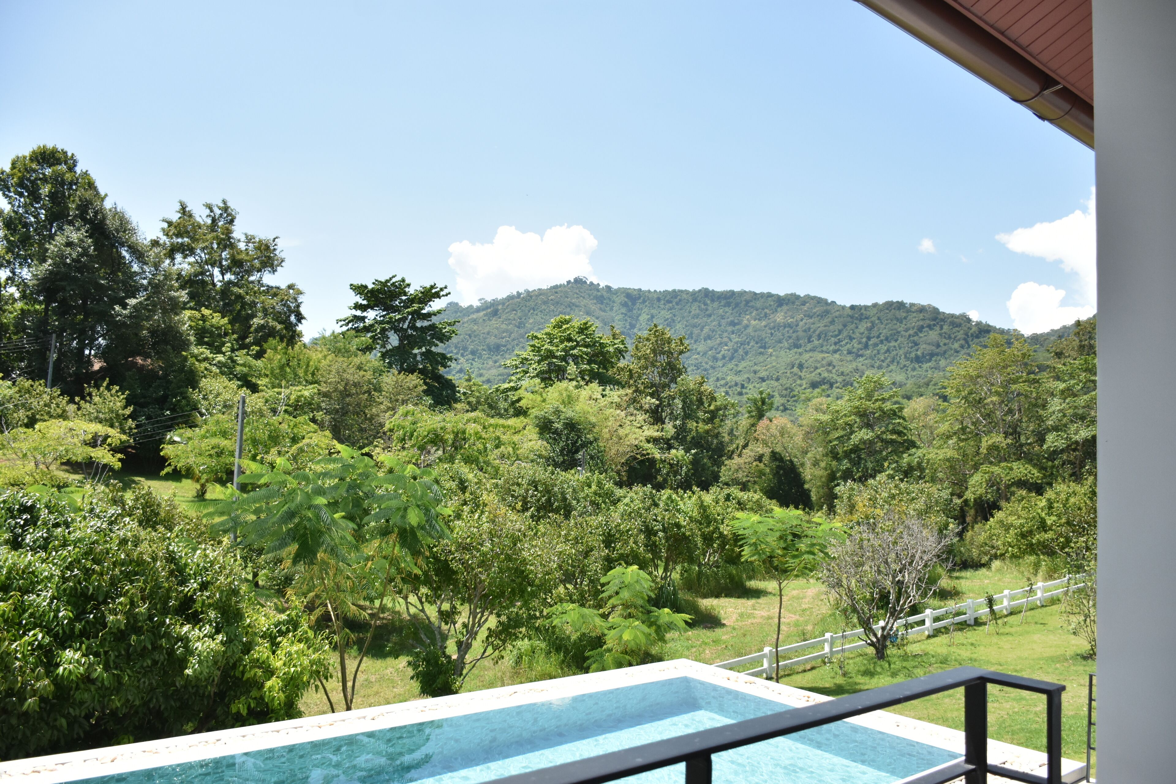 Une piscine offrant une vue sur un paysage verdoyant et luxuriant, avec une montagne en arrière-plan.