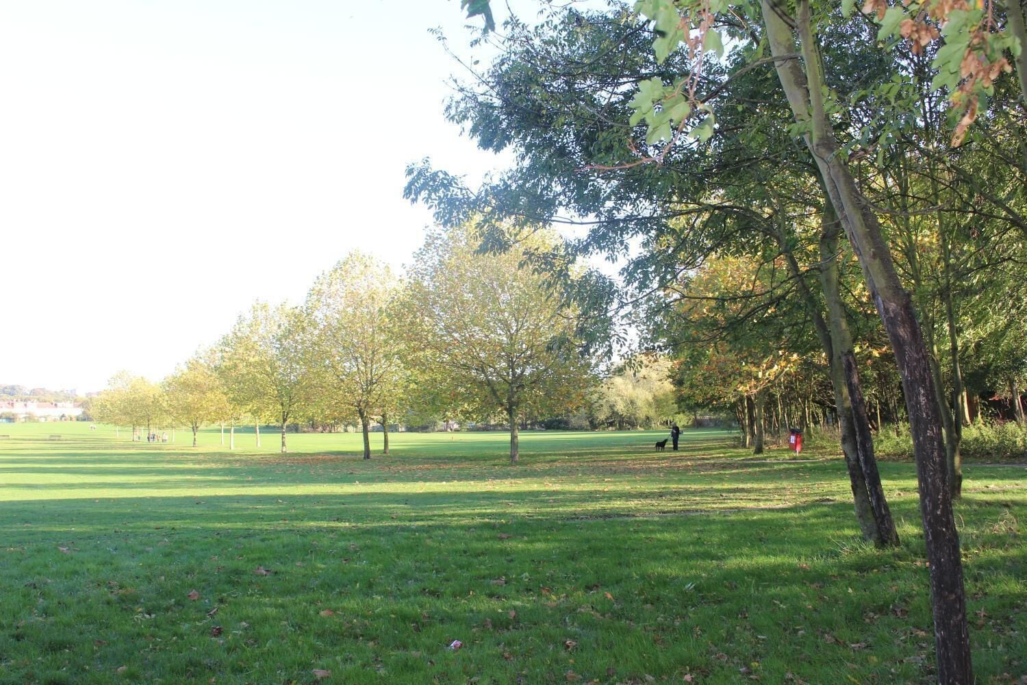 Ein Park mit grünem Rasen, Bäumen und einigen Personen.