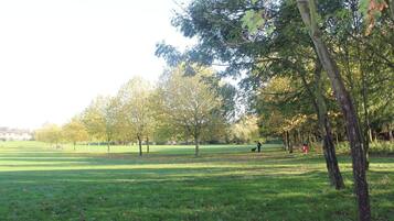 Ein Park mit grünem Rasen, Bäumen und einigen Personen.