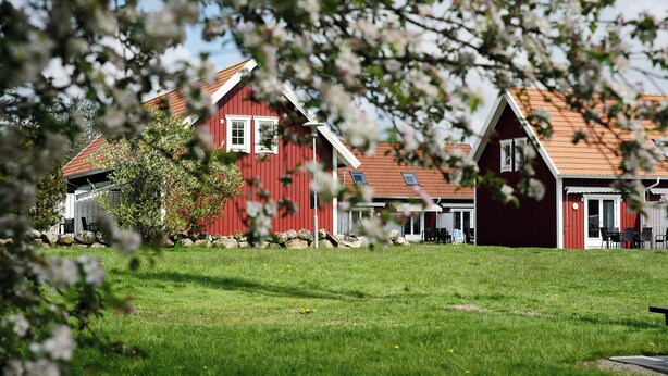 A row of red wooden houses with a grassy lawn in front. - Apelviken Lägenhetshotell (Varberg)