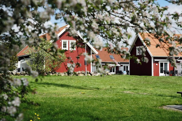 A row of red wooden houses with a grassy lawn in front.