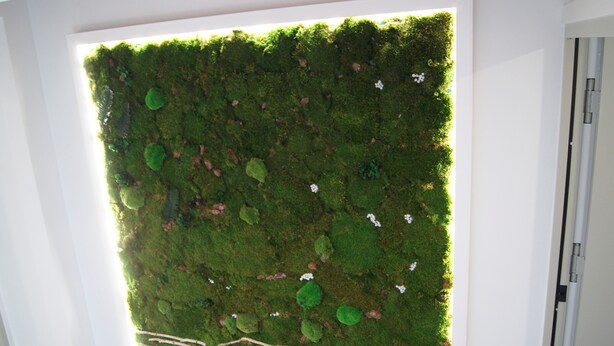 Una pared con textura similar al musgo y pequeñas flores blancas.
