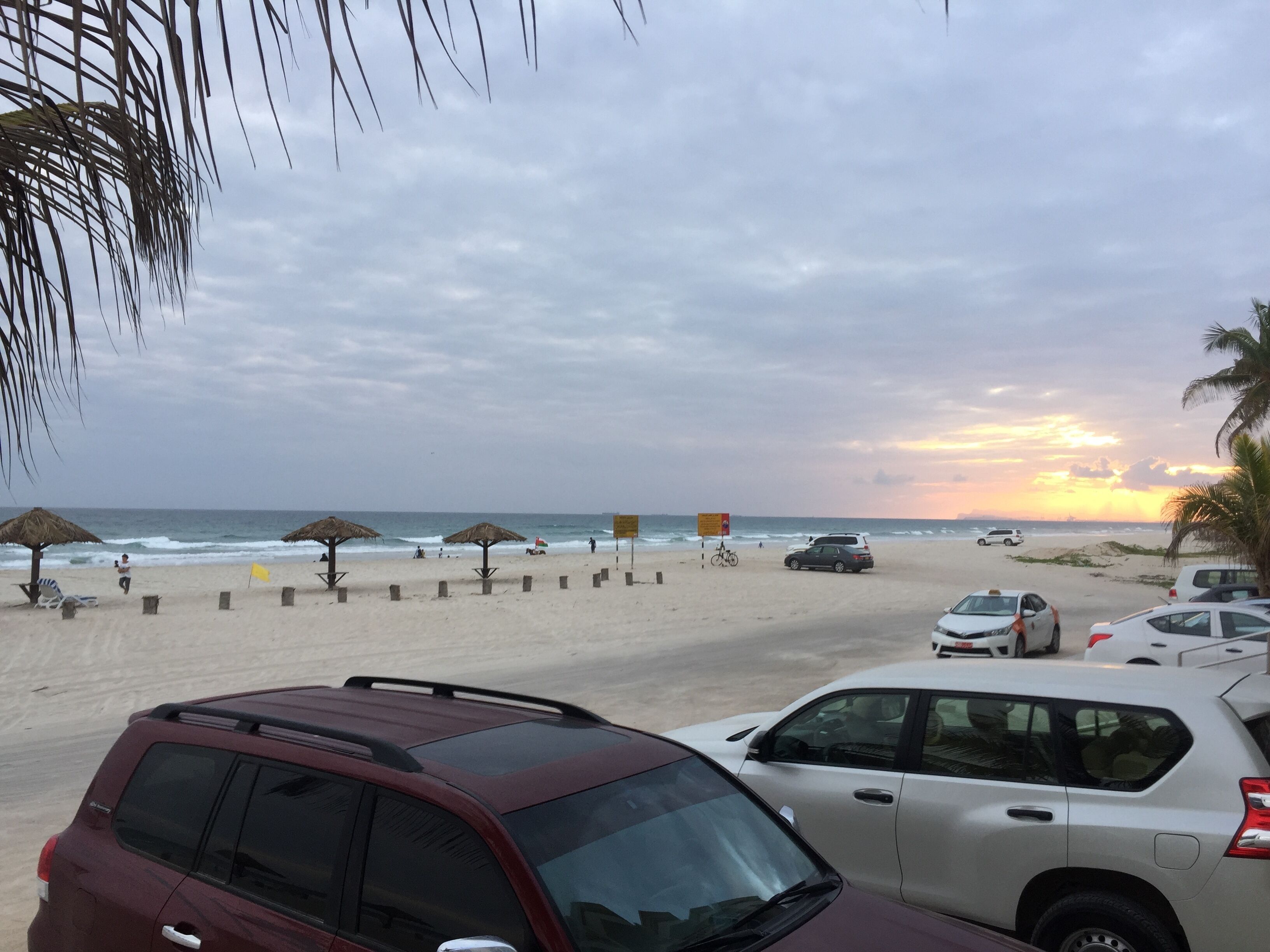 Ein Strand mit Autos und Sonnenschirmen.