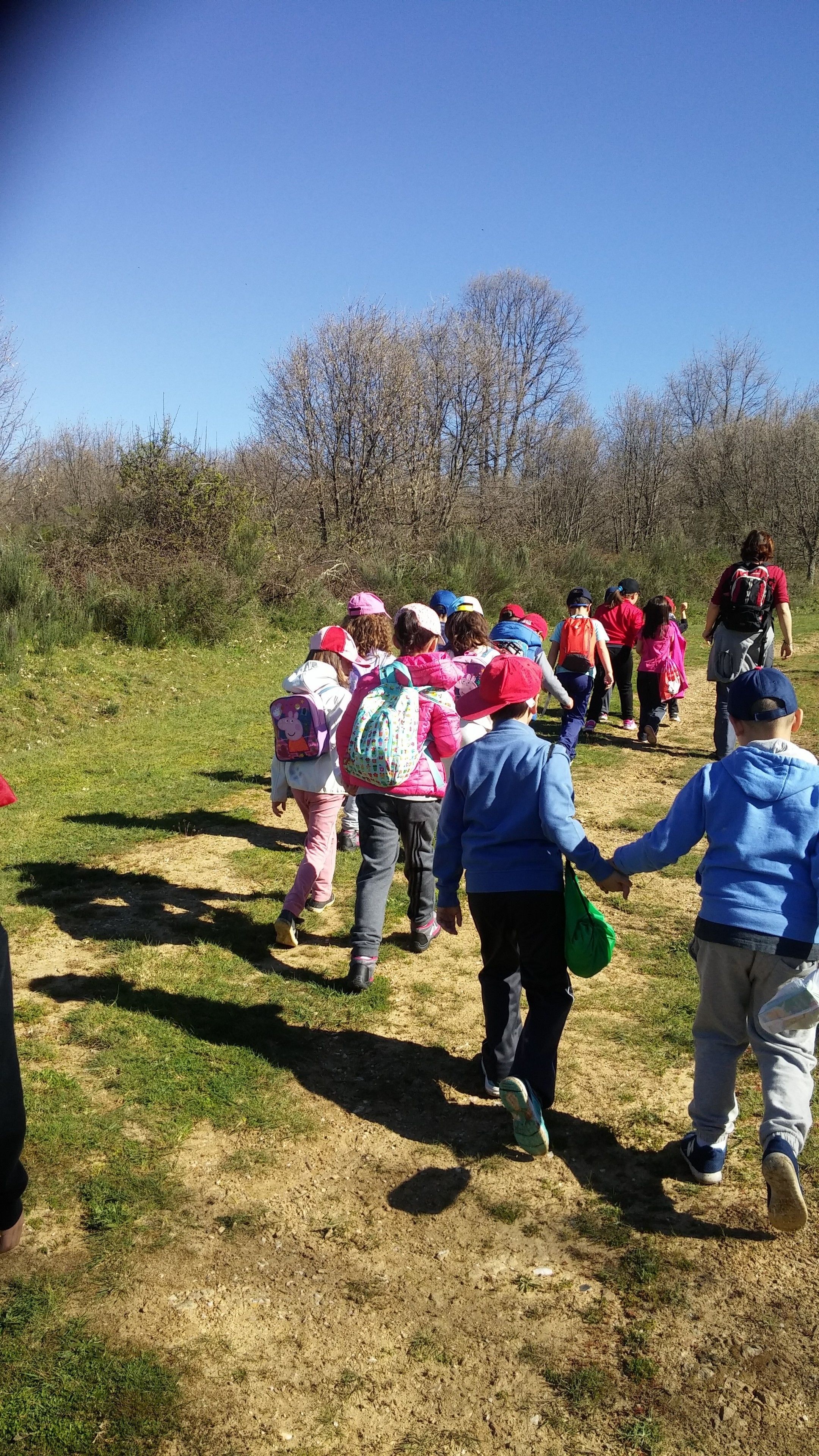 Un grupo de personas caminando por un sendero cubierto de césped, bordeado de árboles.