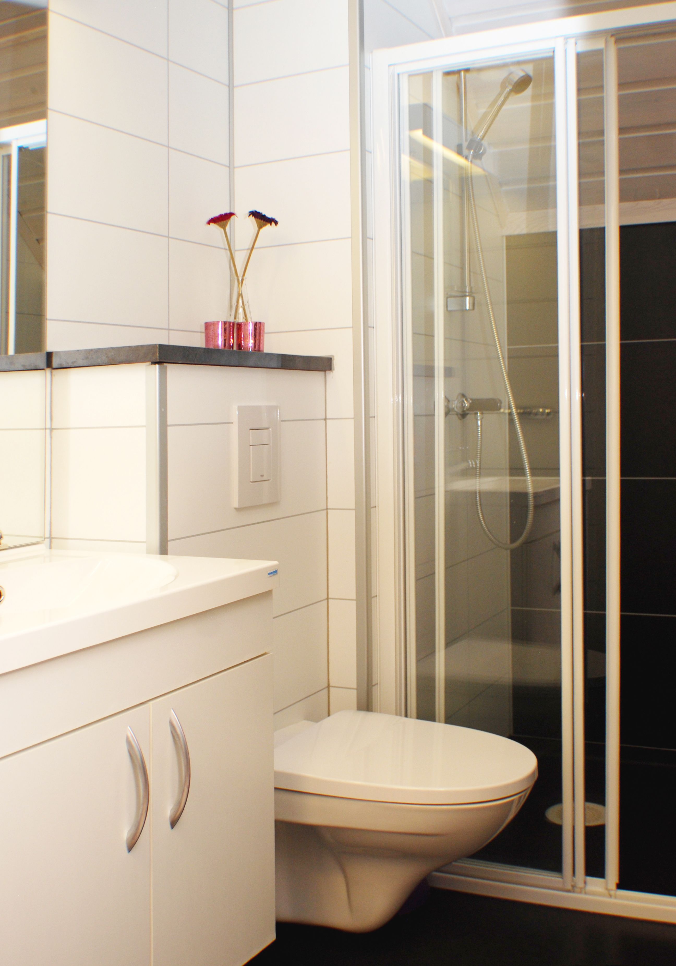 A modern bathroom with a toilet, a shower enclosure, and a vanity with a mirror.