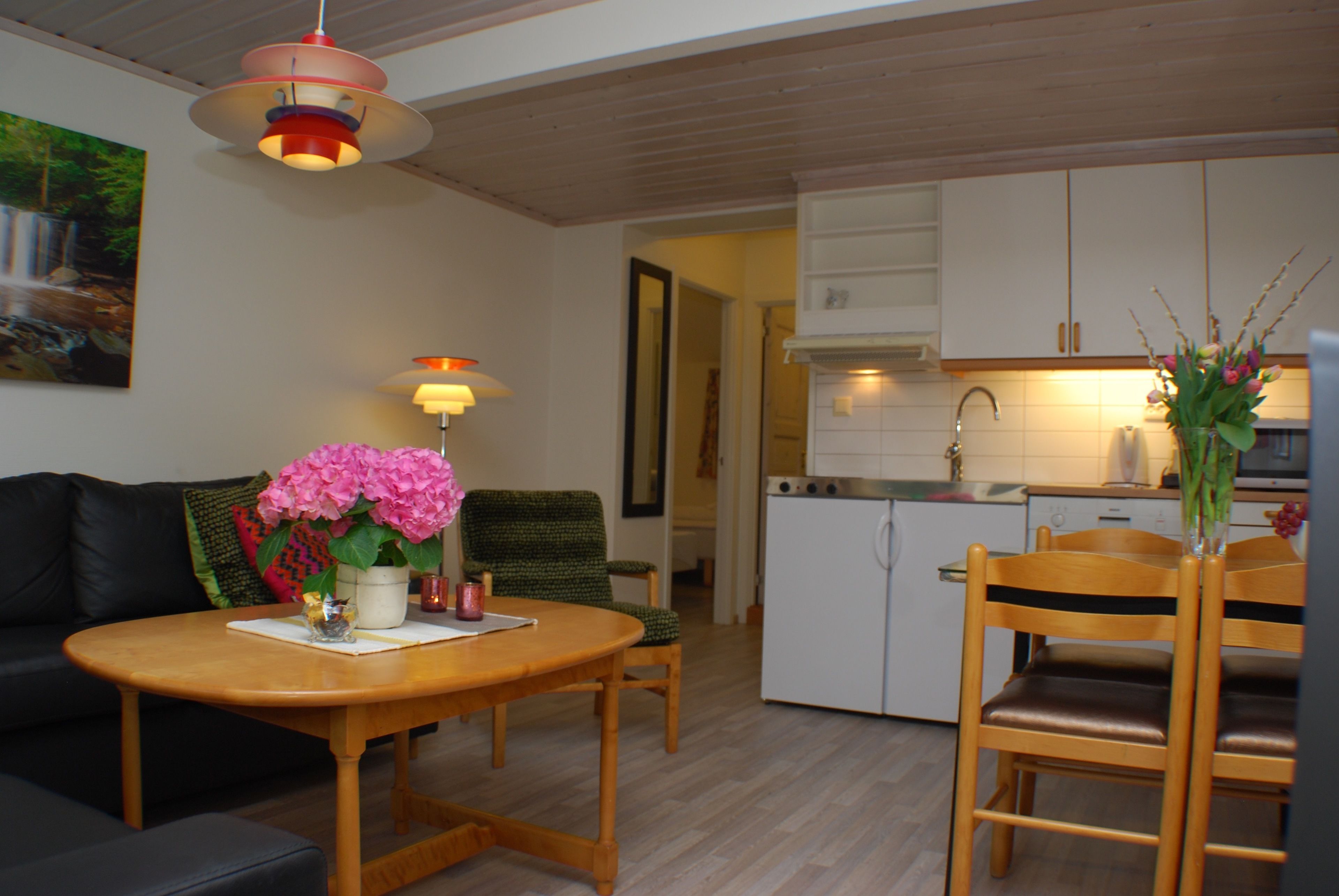 Een ruimtelijk ingerichte leefruimte met eethoek, kitchenette en een bank.