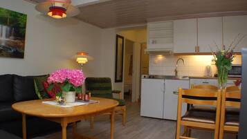 Een ruimtelijk ingerichte leefruimte met eethoek, kitchenette en een bank.