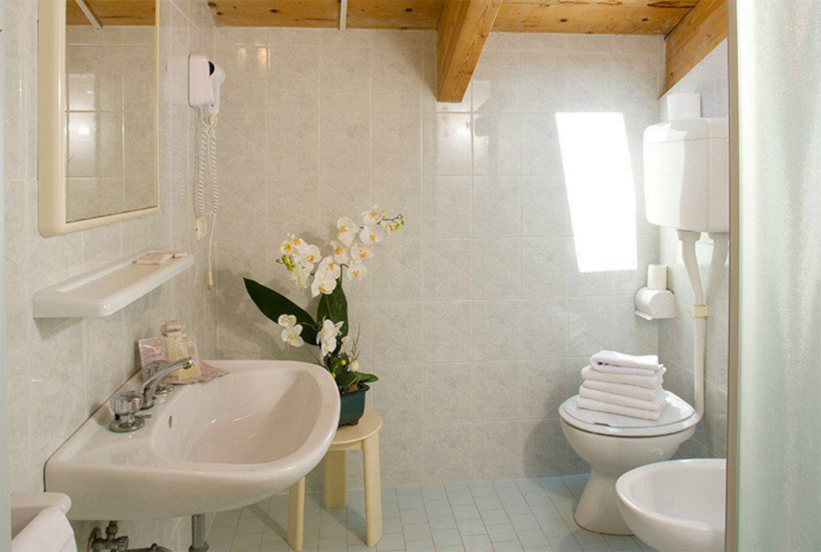 shower, free toiletries, hair dryer, bidet