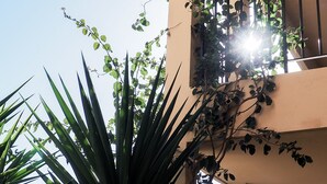 A building with a balcony covered in climbing plants and a sun shining through the foliage. - Creste e Mare (Ajaccio)