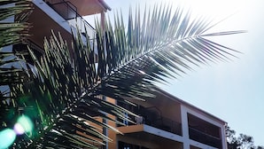 A multi-story building with balconies and a palm tree in the foreground. - Creste e Mare (Ajaccio)