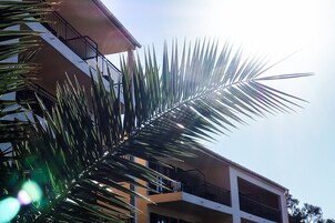 Un edificio de varios pisos con balcones y una palmera en primer plano.