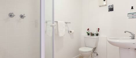 A bathroom with a glass shower enclosure, a toilet, a sink, and a small shelf with toiletries.