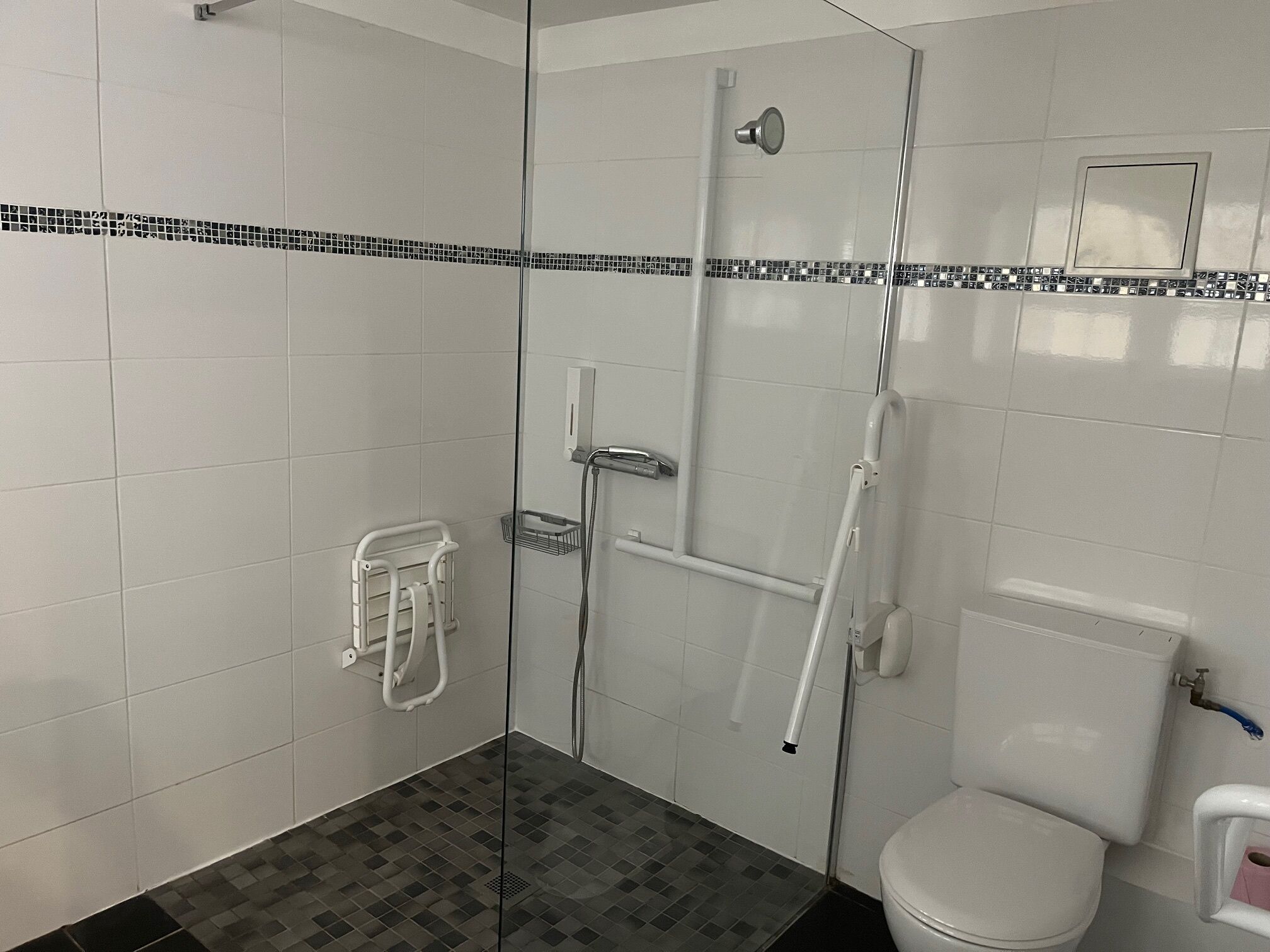 A modern bathroom with a glass-enclosed shower, a white toilet, and a small white sink.