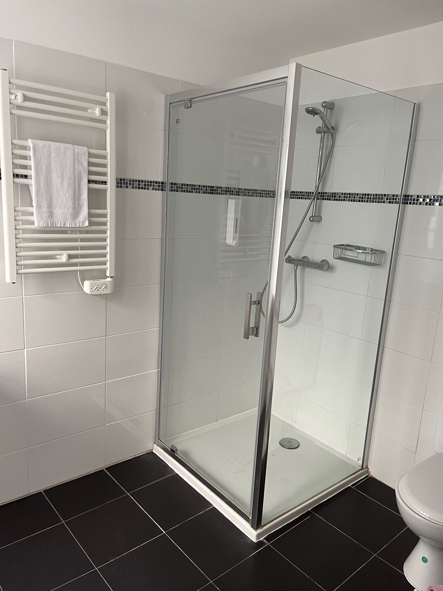 A glass-enclosed shower with a white tiled floor, a white toilet, and a towel rack with a towel.