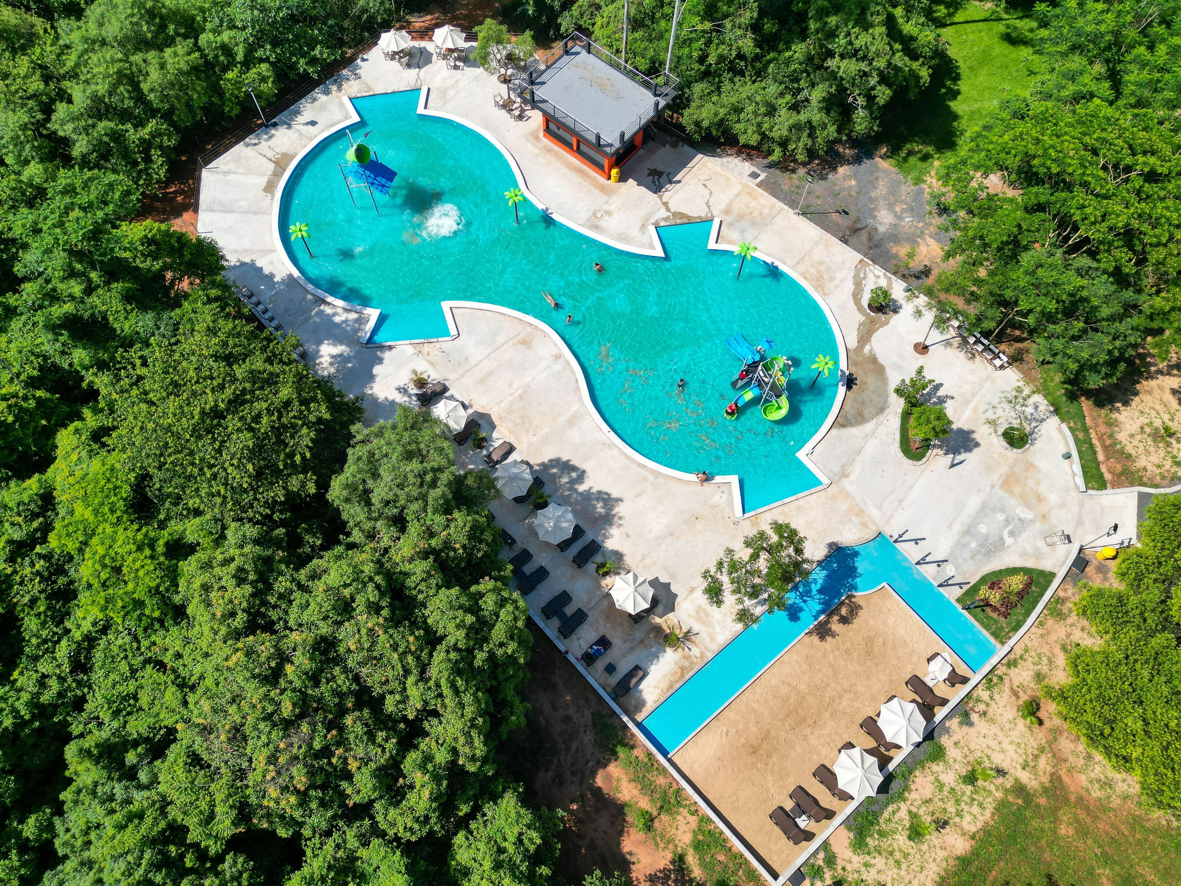 Vista aérea de una piscina de forma singular, rodeada de exuberante vegetación y protegida por palmeras.