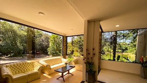 Una habitación amplia con un ventanal grande, un sofá, una mesita de centro y una planta en maceta.