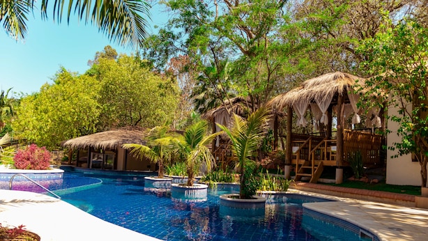 Una piscina en un entorno tropical, rodeada de árboles y una estructura con techo de paja.