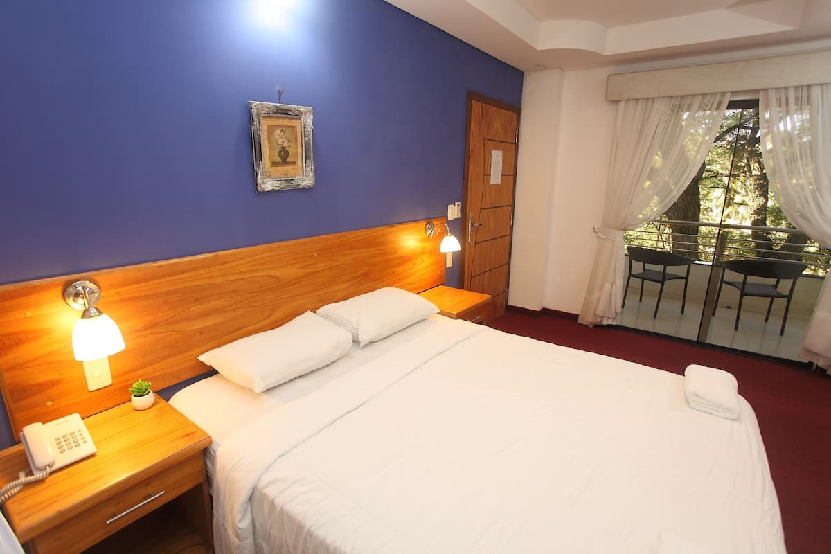 A hotel room with a bed, bedside lamp, a small plant, a wooden headboard, a nightstand with a phone, a window with curtains, and a balcony with chairs.