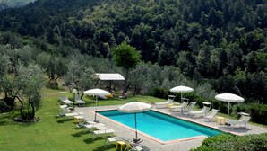 A swimming pool with lounge chairs and umbrellas, surrounded by a lush green landscape and a forested hill in the background. - Agriturismo Il Bellini (Castelfranco Piandisco)