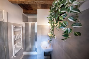 Habitación doble, terraza | Baño | Ducha, artículos de higiene personal gratuitos y secador de pelo
