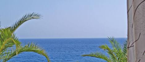 A view of a beach with a clear sky, palm trees, and the ocean.