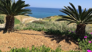 A coastal landscape with palm trees and a view of the ocean. - Bungalow Musuri (Sitia)