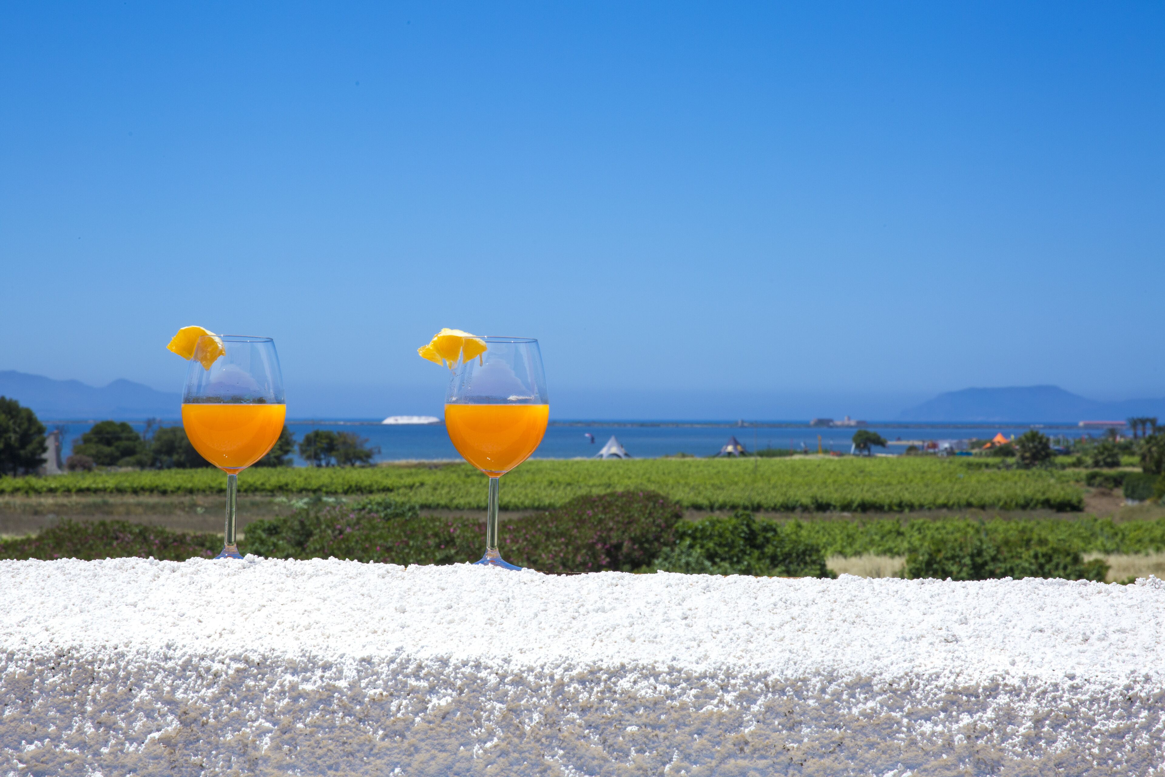 Two glasses of orange juice with lemon slices on a white surface with a vineyard and ocean view in the background.