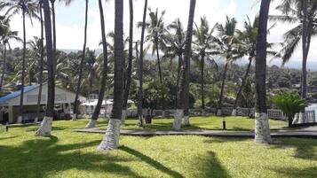Un resort tropical con palmeras, una valla blanca y un edificio de techo azul.