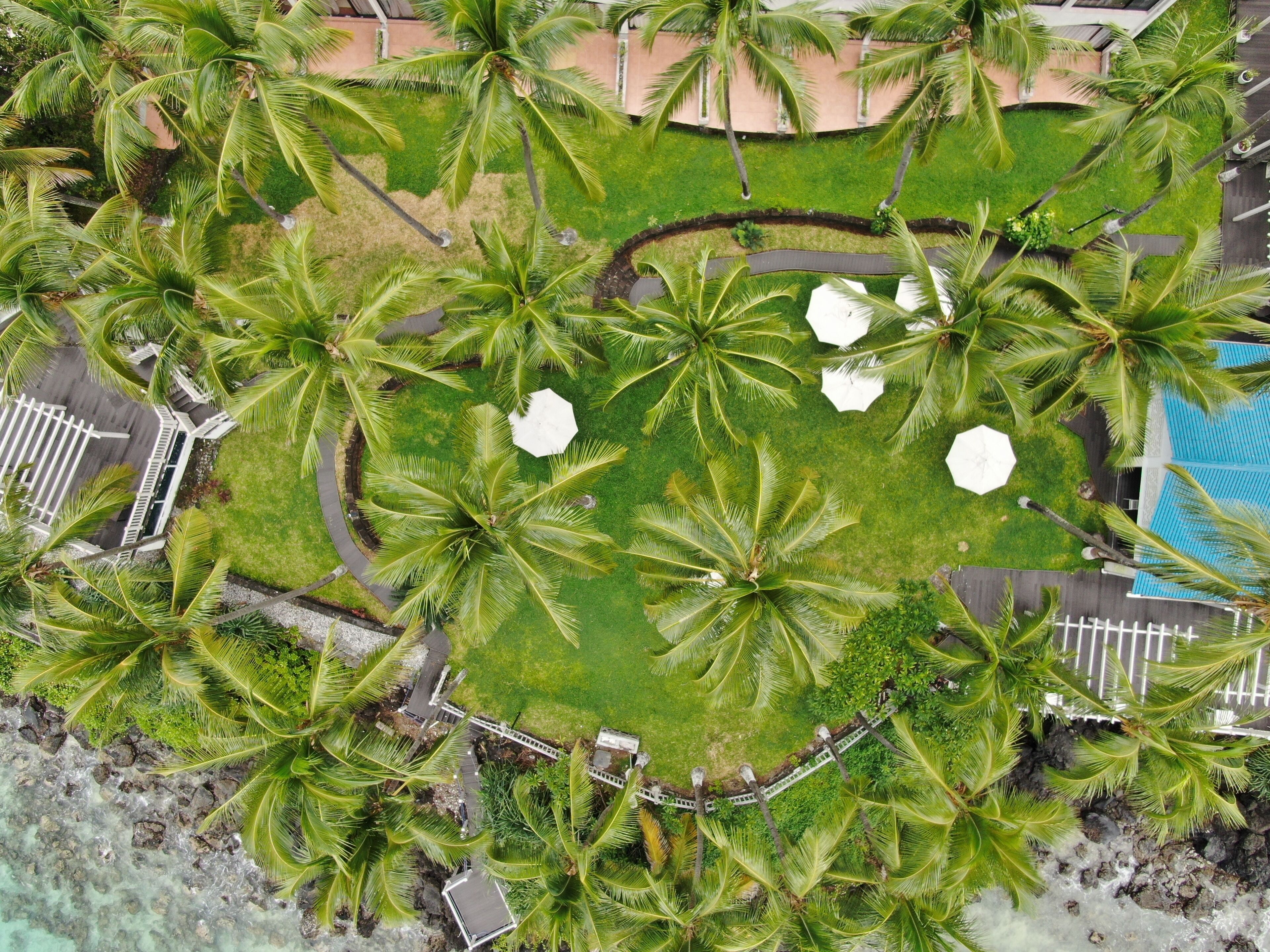 Jardin