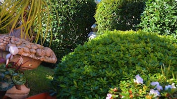 Jardín