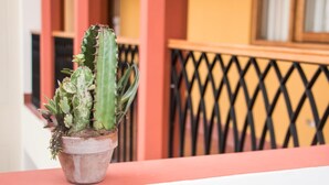 A potted cactus on a balcony railing. - Hotel Suiza Peruana (Huaraz)