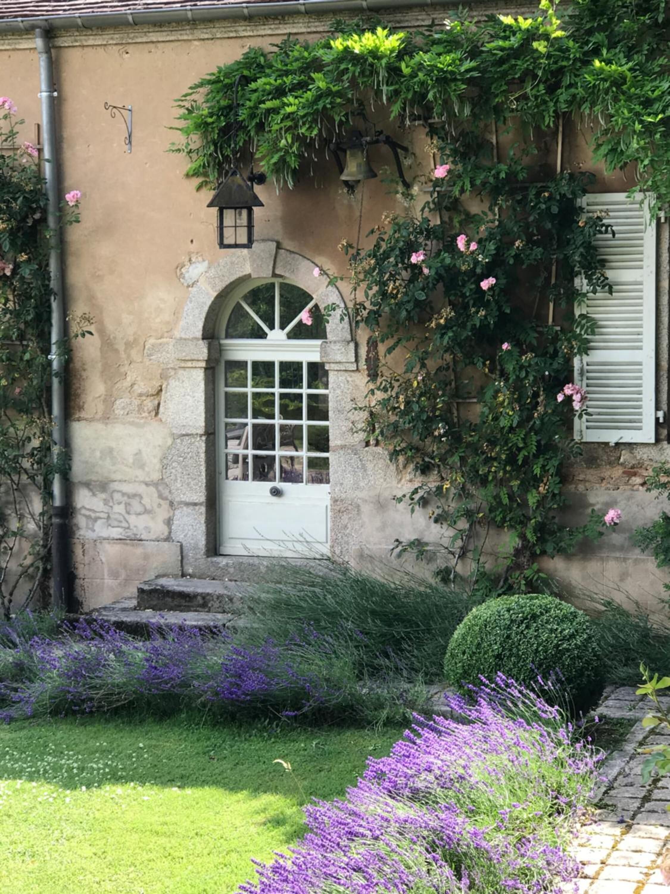 A stone building with a white door, a small garden with lavender, and climbing plants.