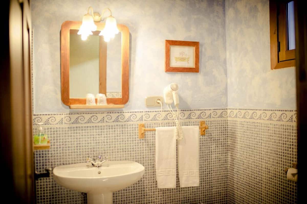 double or twin room | bathroom | shower, free toiletries, hair dryer, towels