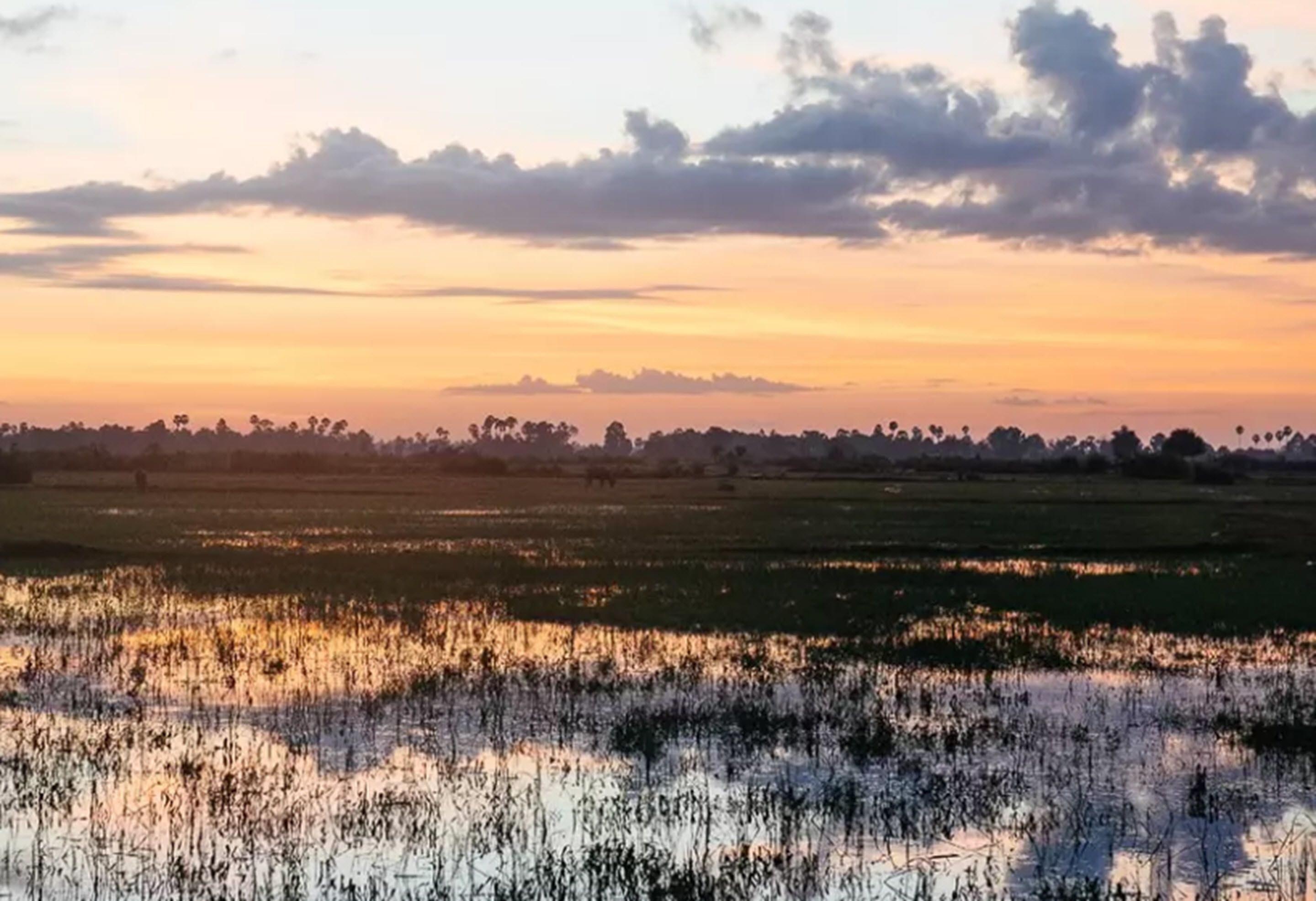 Photo - Real Homestay