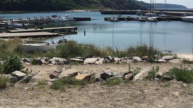 En havn med fortøjede både, en mole der strækker sig ud i rolige vand, og en bakket baggrund.