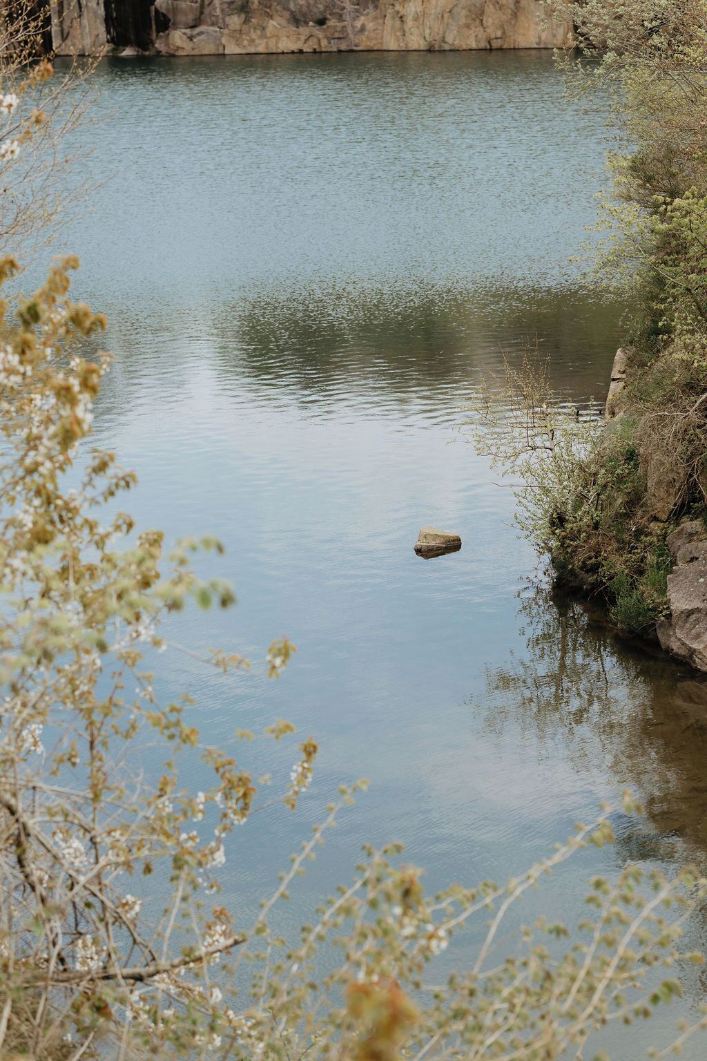 A calm river with a small rock in the center, surrounded by sparse vegetation.
