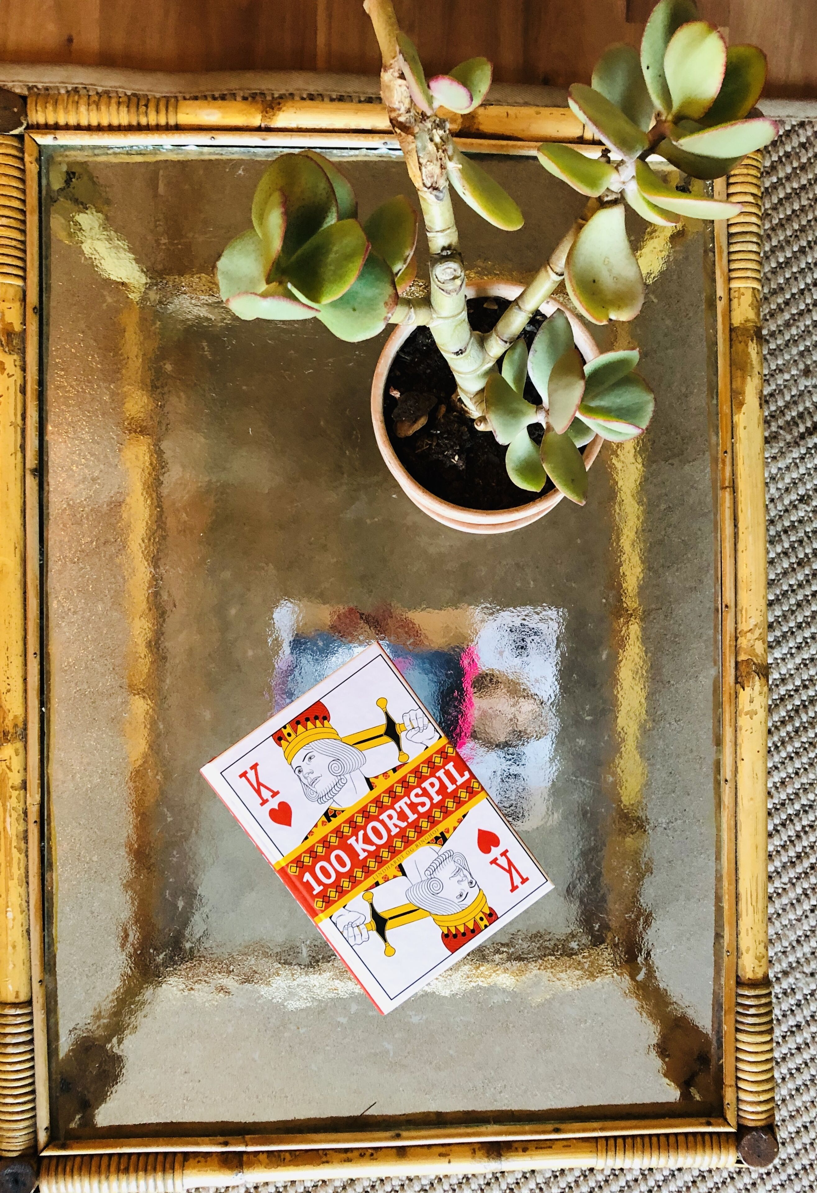 A framed plant with a card game in a tray.