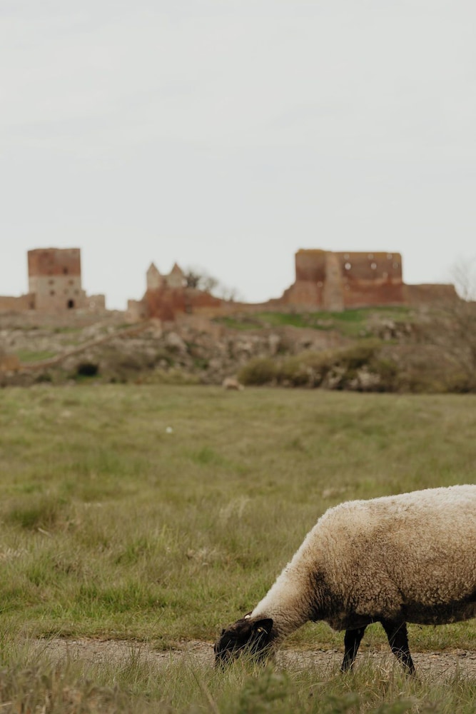 Sandvig Vandrerhjem "Nordly" by null